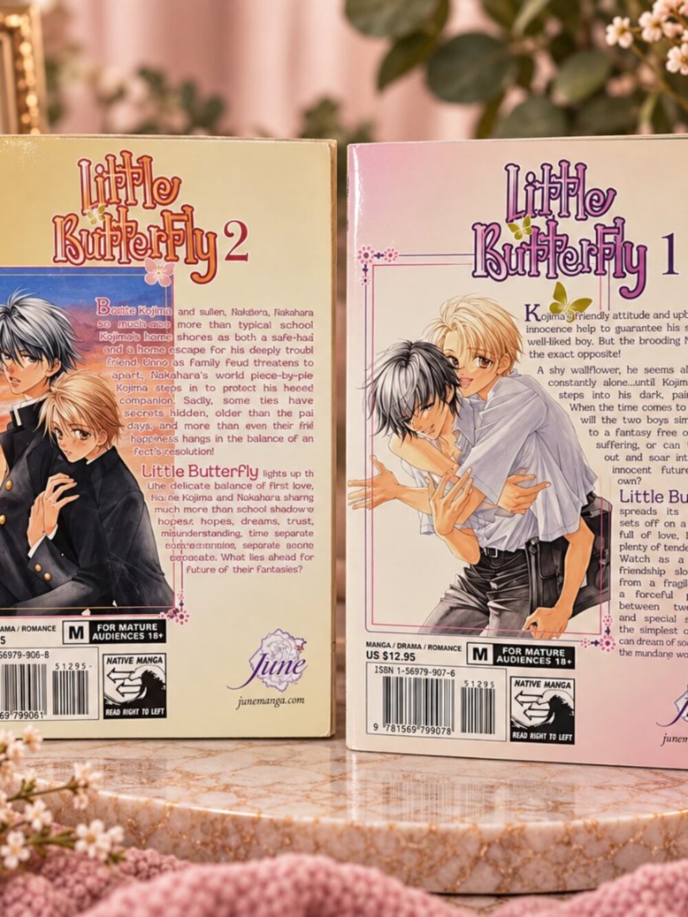 Little Butterfly Manga Volumes 1 & 2 Complete Set by Hinako Takanaga - Paperback